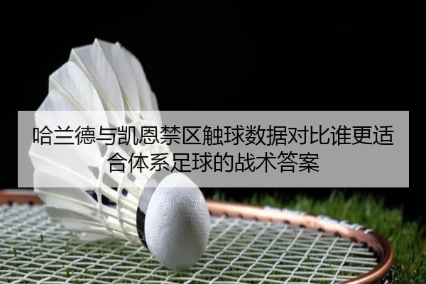 哈兰德与凯恩禁区触球数据对比谁更适合体系足球的战术答案